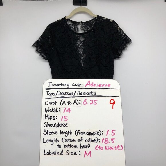 NWT Dynamite Open Back Lace Bodysuit size M - Picture 16 of 16